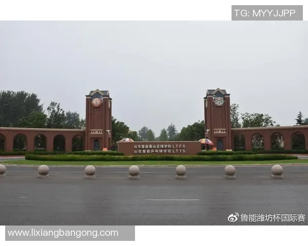 山东鲁能泰山足球学校培养未来足球明星的梦想与实践之路