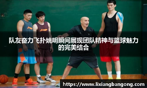 米兰体育官方网站