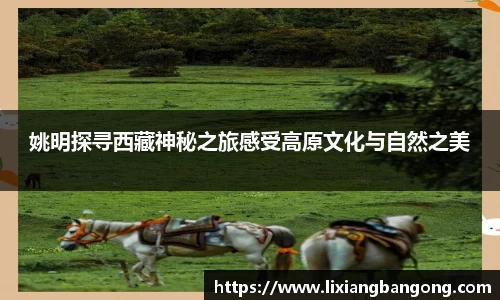 姚明探寻西藏神秘之旅感受高原文化与自然之美